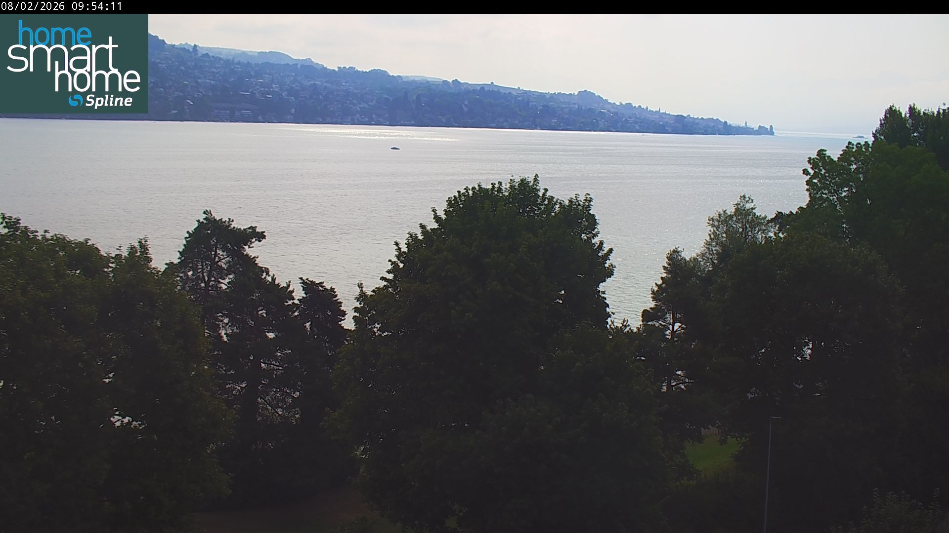 Thalwil › Osten: Seestrasse 93 - Spline AG - Home Smart Home - Zürichsee