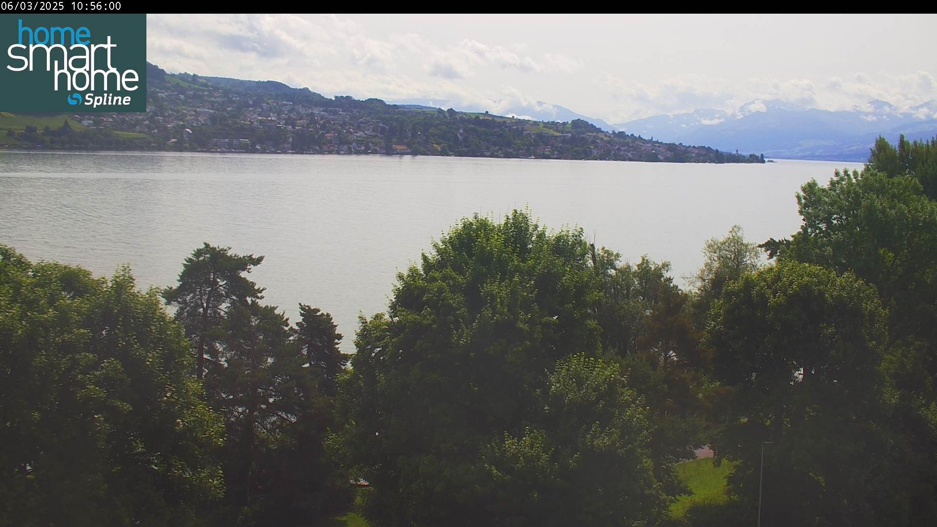 Thalwil › Ost: Seestrasse 93 - Spline AG - Home Smart Home - Zürichsee - Zürichsee