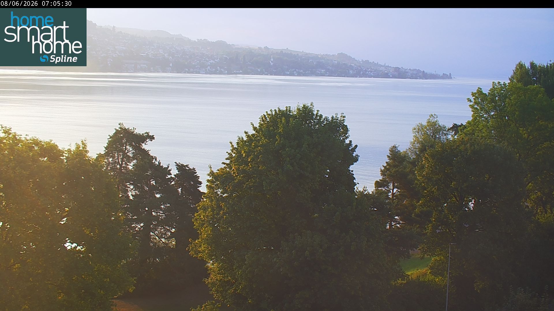 Thalwil › Osten: Seestrasse 93 - Spline AG - Home Smart Home - Zürichsee