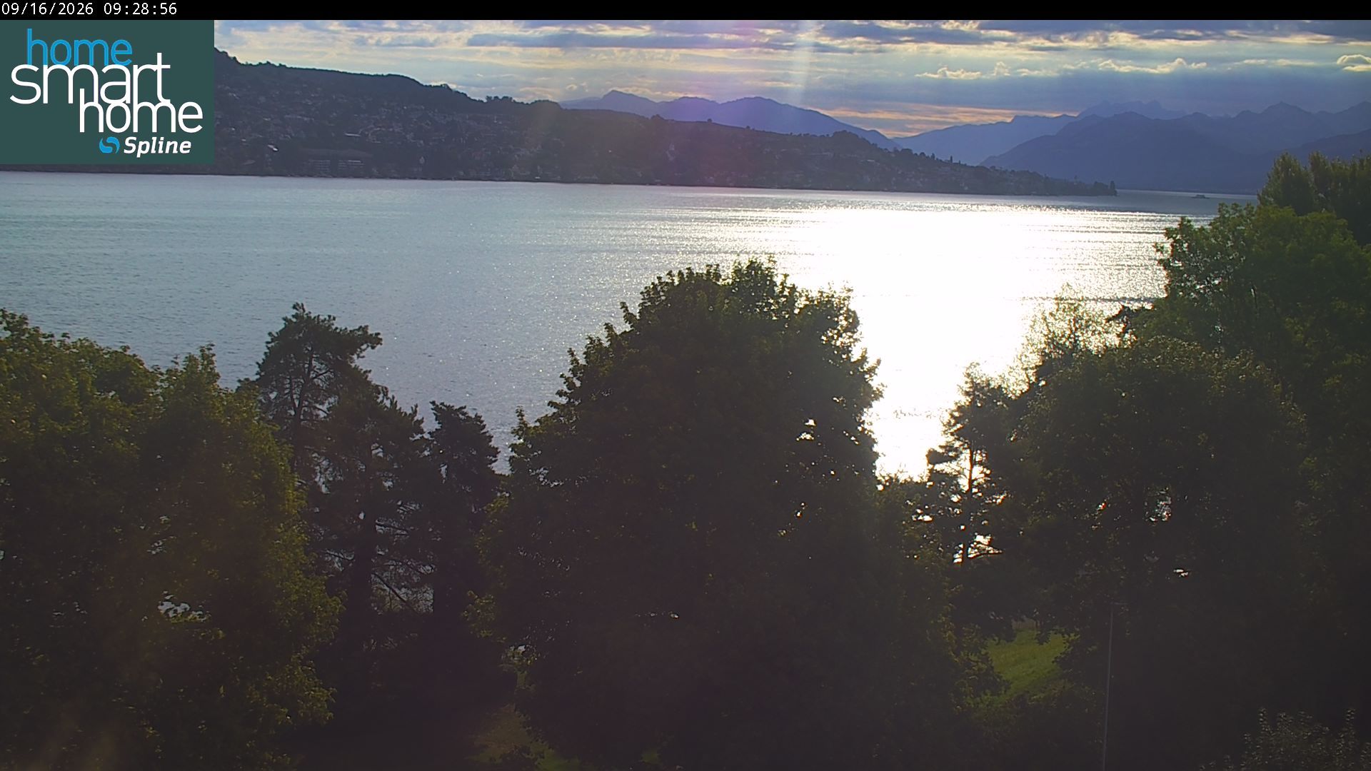 Thalwil › Osten: Seestrasse 93 - Spline AG - Home Smart Home - Zürichsee