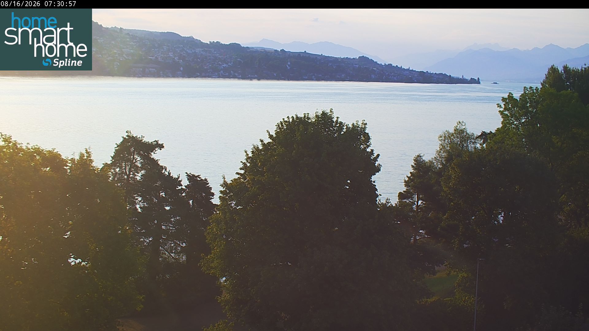 Thalwil › Osten: Seestrasse 93 - Spline AG - Home Smart Home - Zürichsee