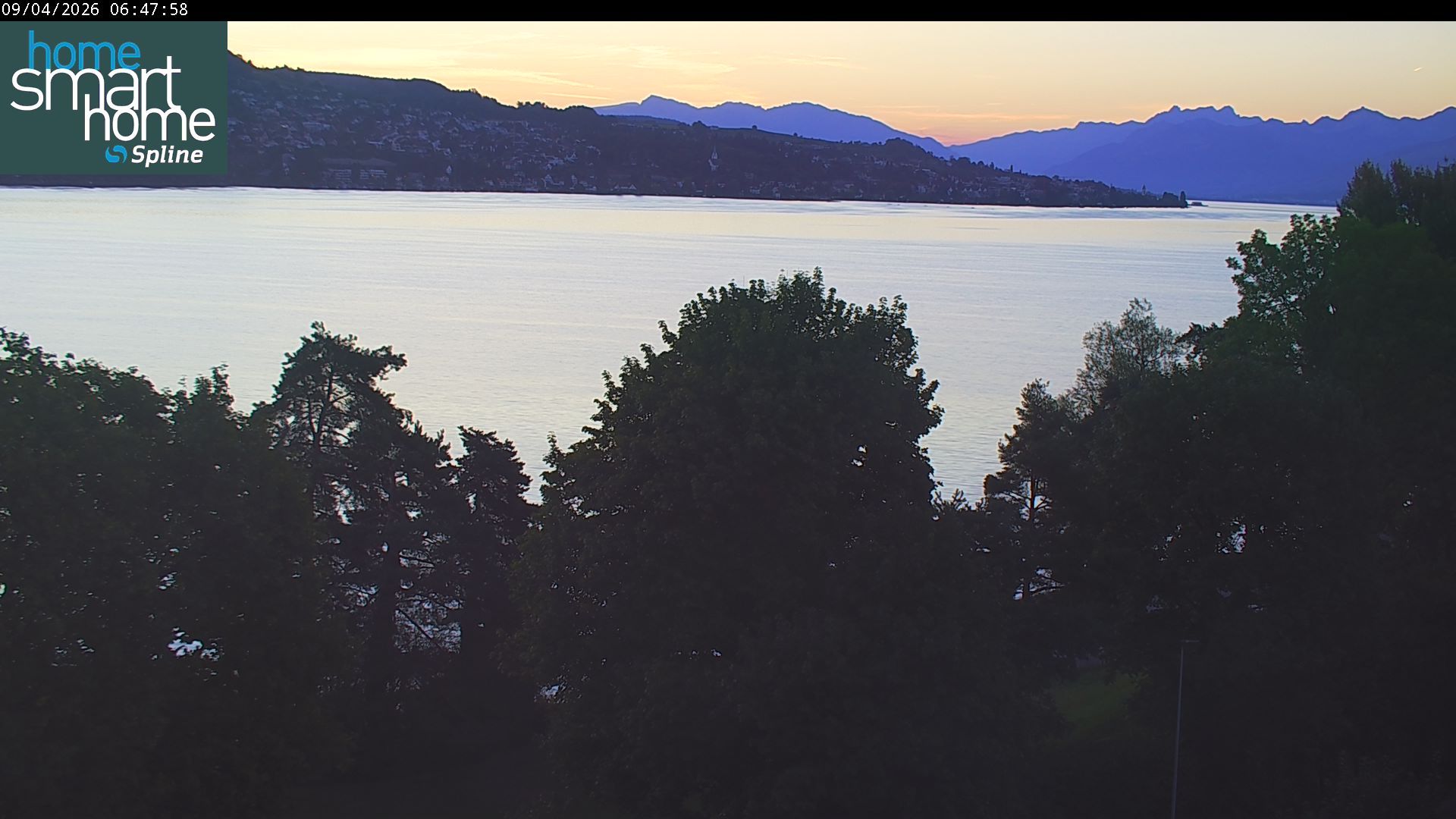Thalwil › Osten: Seestrasse 93 - Spline AG - Home Smart Home - Zürichsee