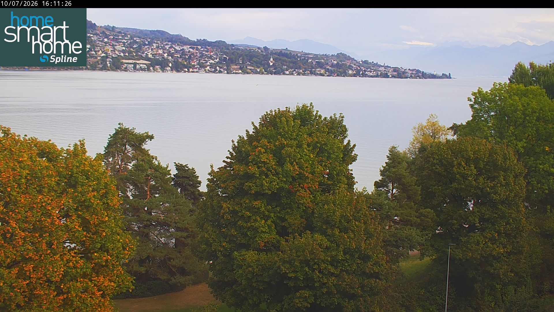 Thalwil › Osten: Seestrasse 93 - Spline AG - Home Smart Home - Zürichsee