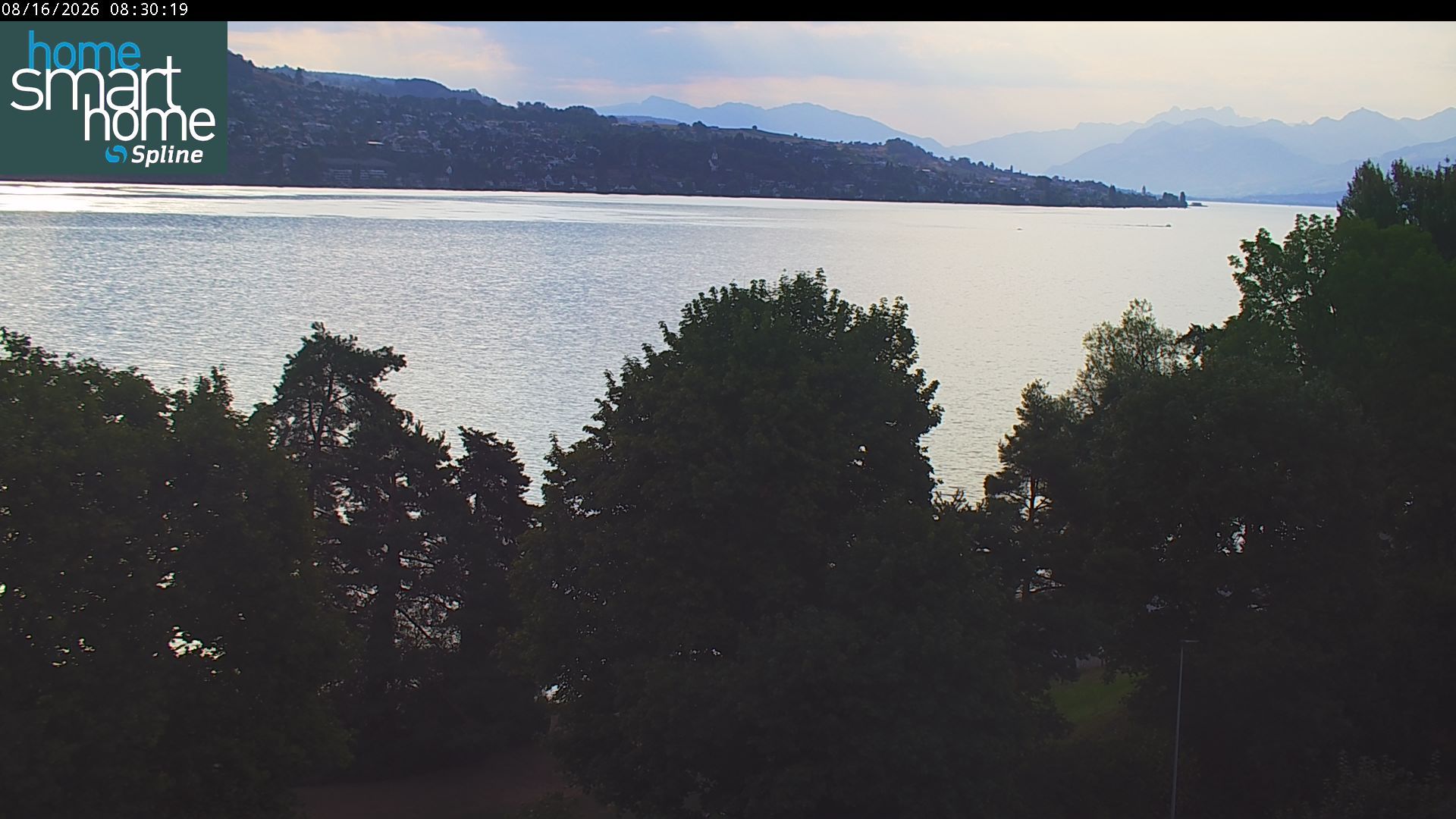 Thalwil › Osten: Seestrasse 93 - Spline AG - Home Smart Home - Zürichsee