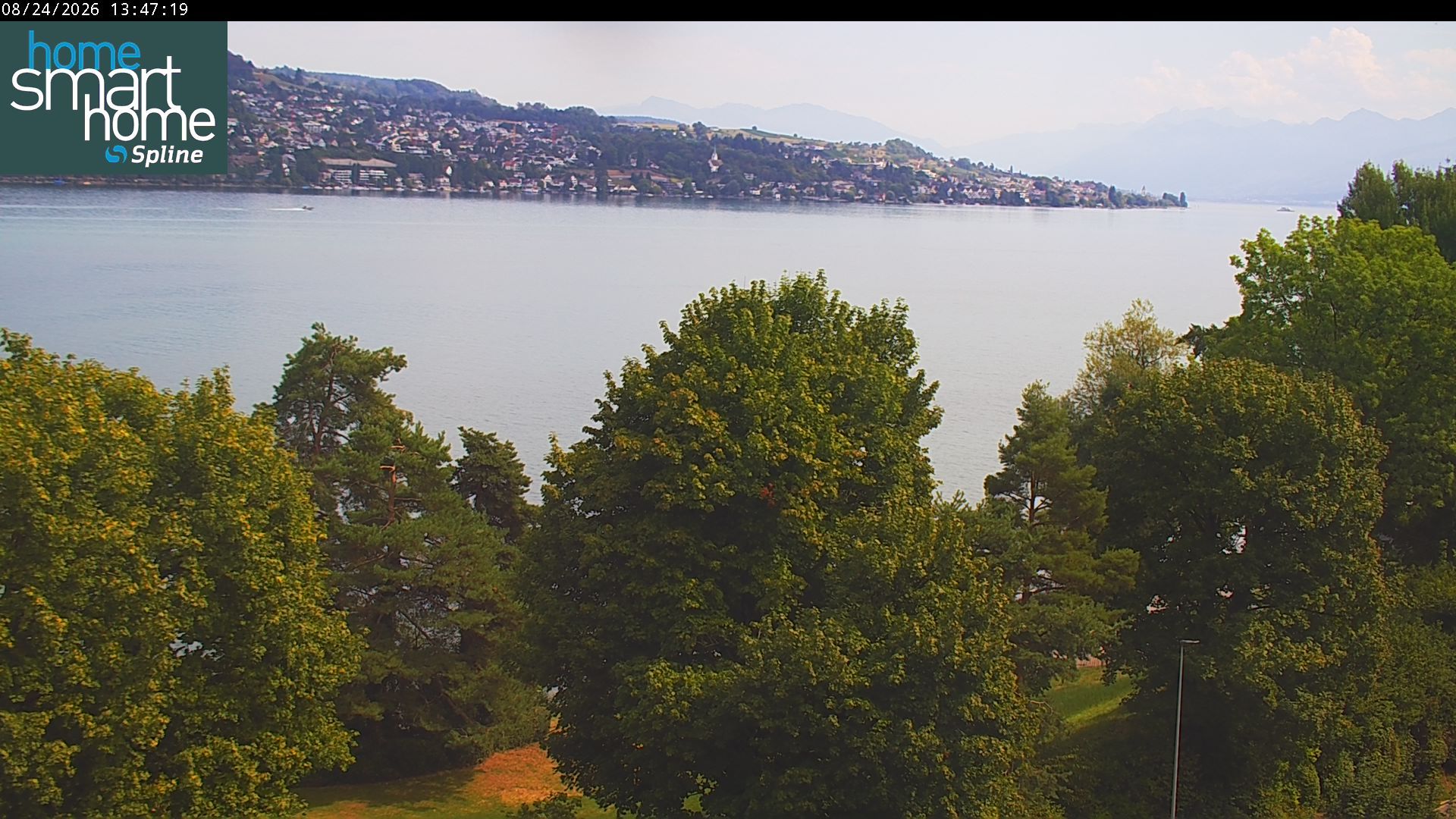 Thalwil › Osten: Seestrasse 93 - Spline AG - Home Smart Home - Zürichsee