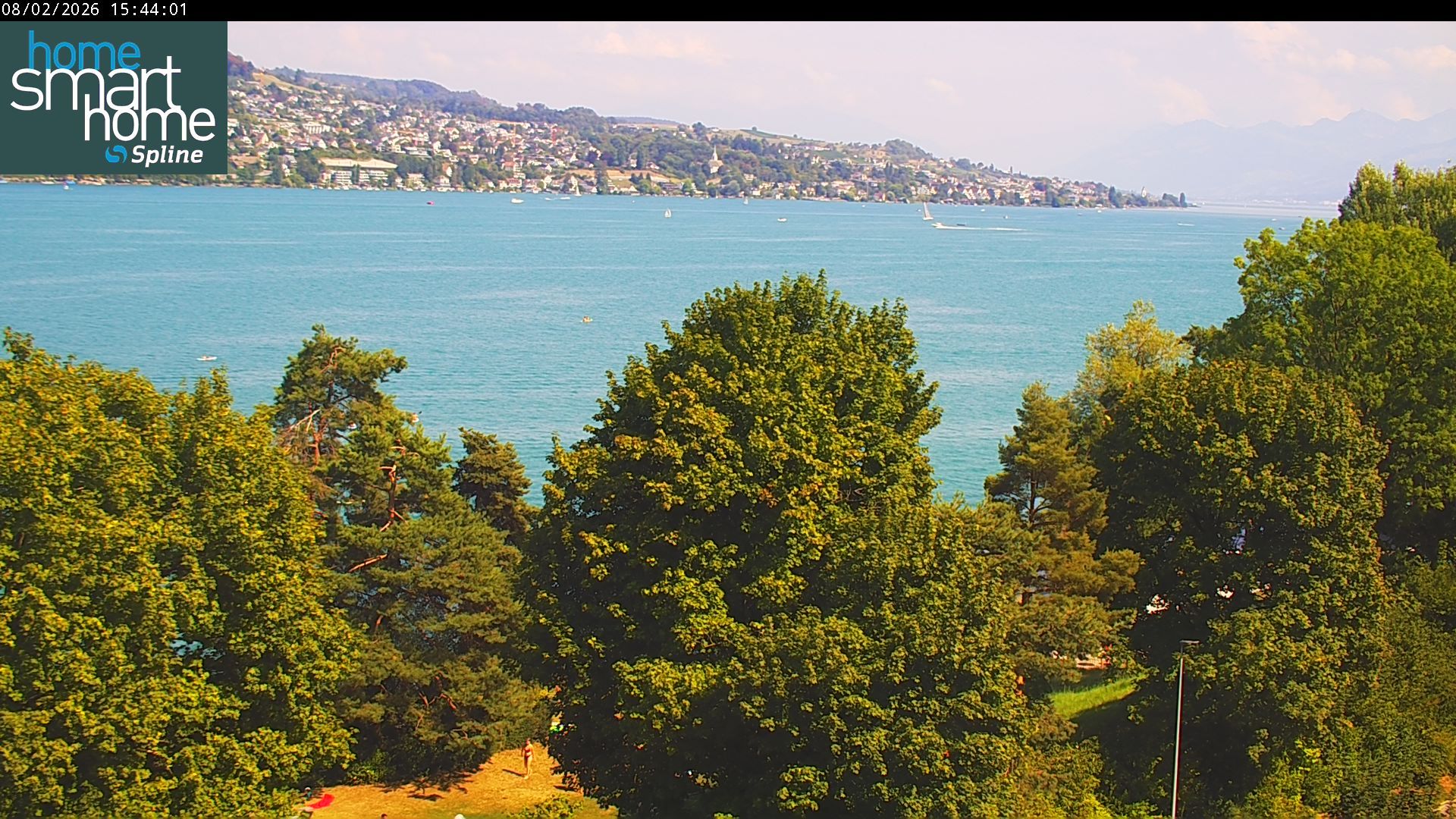 Thalwil › Osten: Seestrasse 93 - Spline AG - Home Smart Home - Zürichsee