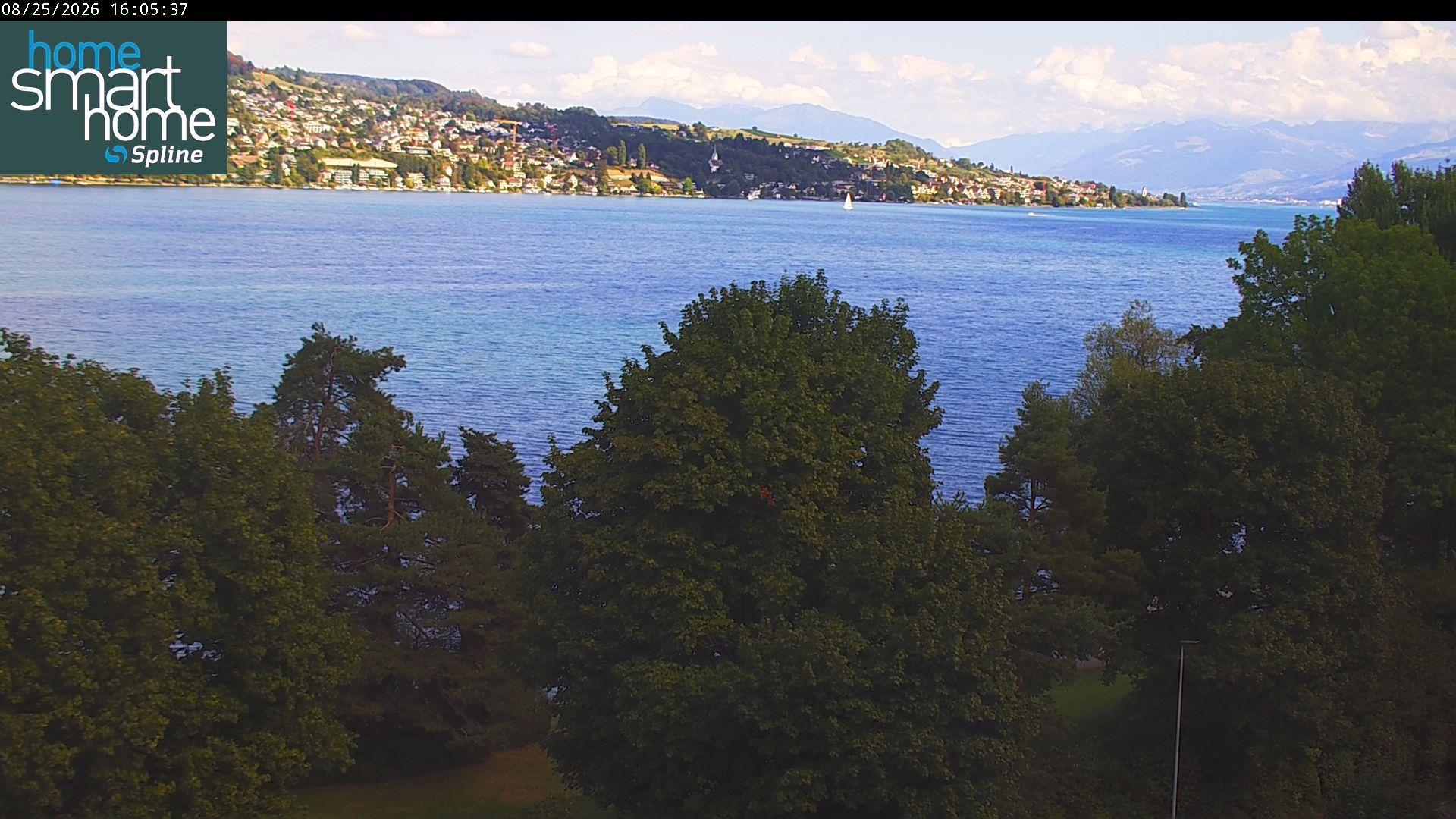 Thalwil › Osten: Seestrasse 93 - Spline AG - Home Smart Home - Zürichsee