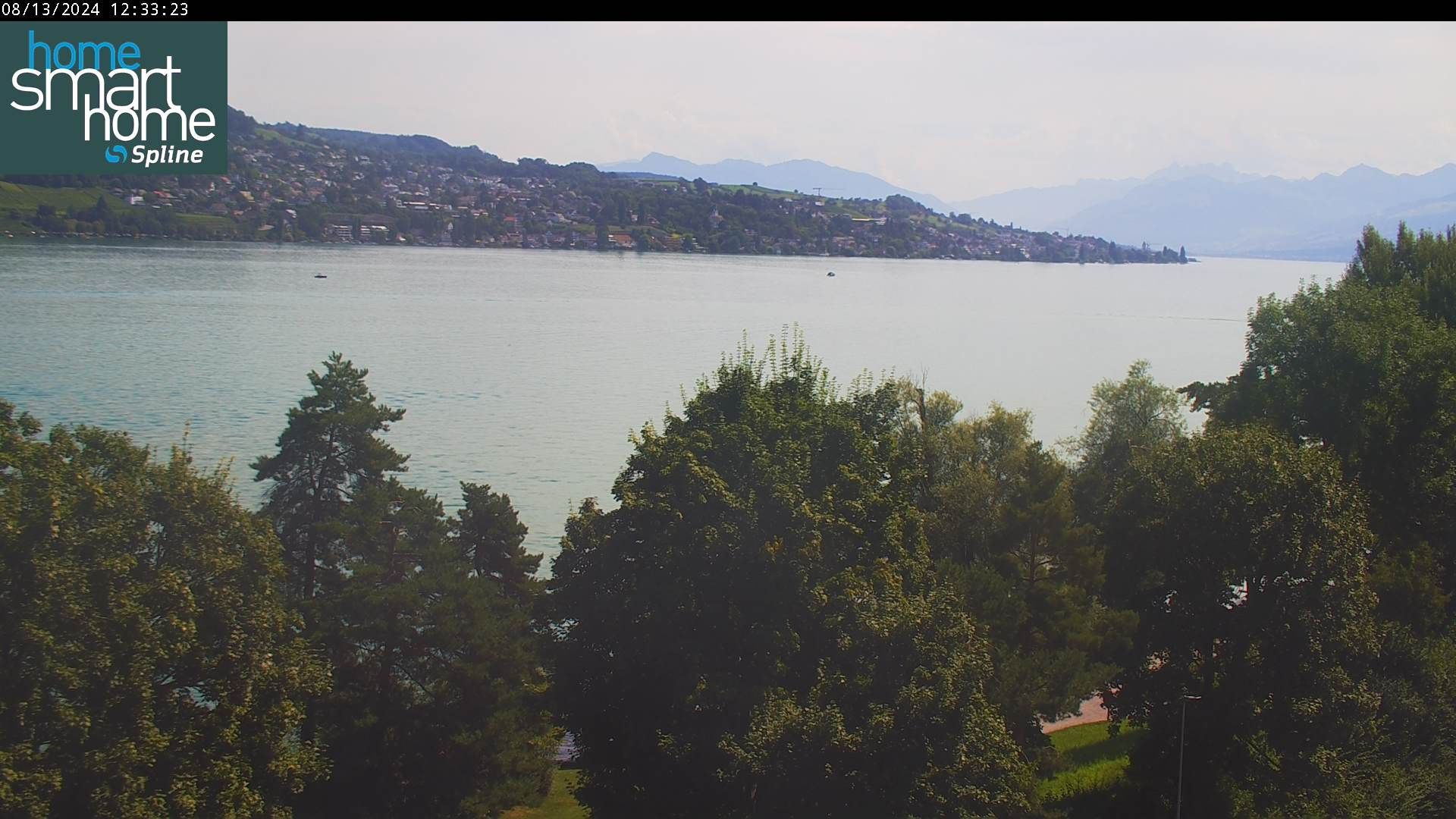 Thalwil › Ost: Seestrasse 93 - Spline AG - Home Smart Home - Zürichsee - Zürichsee