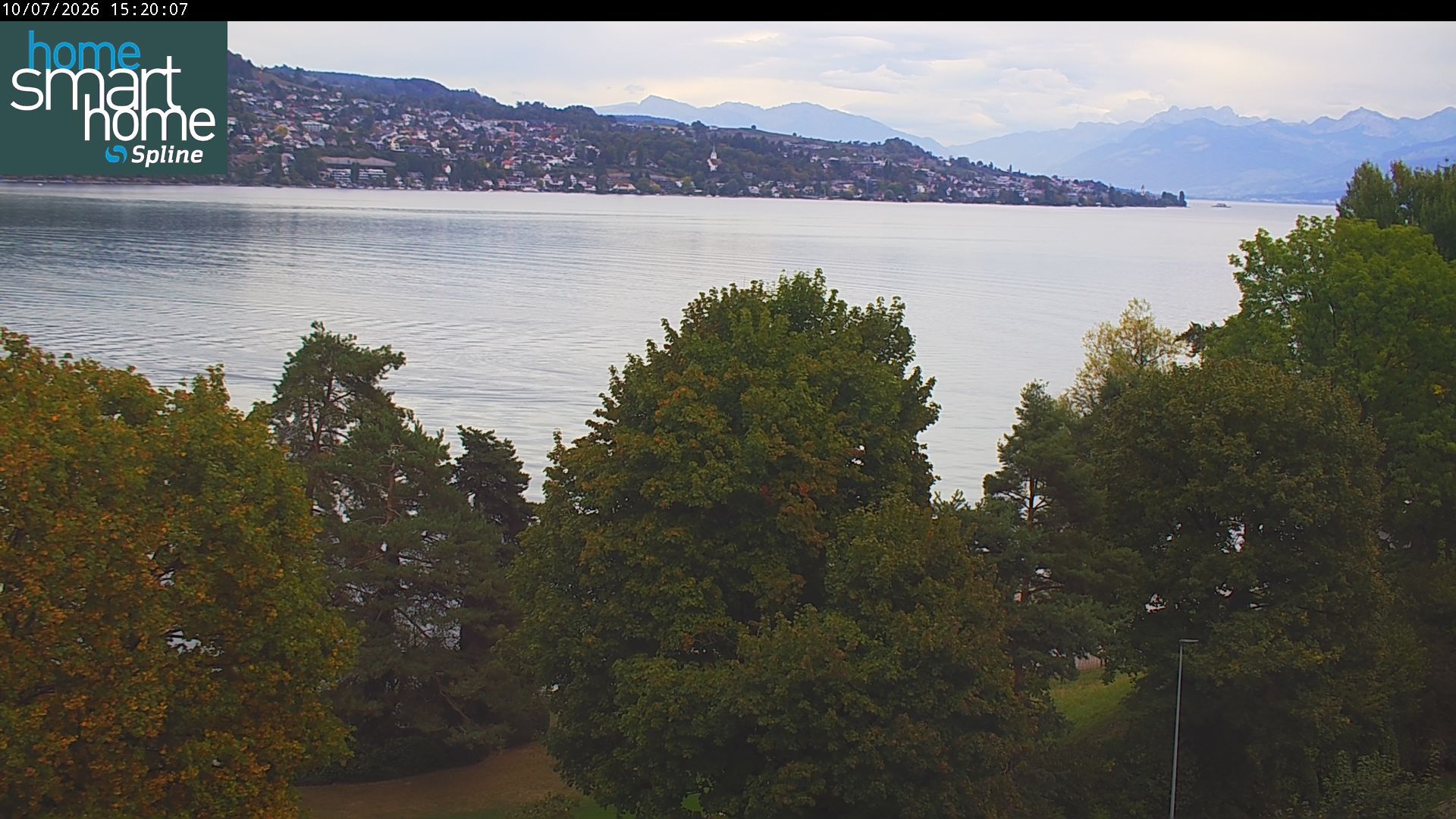 Thalwil › Osten: Seestrasse 93 - Spline AG - Home Smart Home - Zürichsee