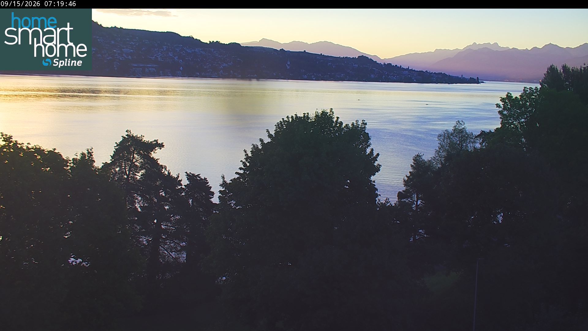 Thalwil › Osten: Seestrasse 93 - Spline AG - Home Smart Home - Zürichsee