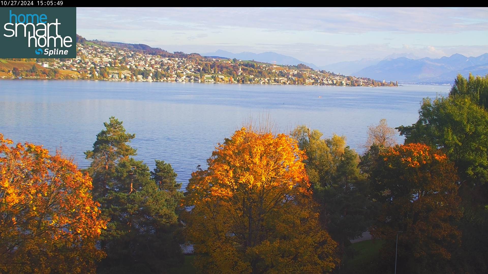 Thalwil › Ost: Seestrasse 93 - Spline AG - Home Smart Home - Zürichsee - Zürichsee