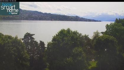 Thalwil › Ost: Seestrasse 93 - Spline AG - Home Smart Home - Zürichsee - Zürichsee