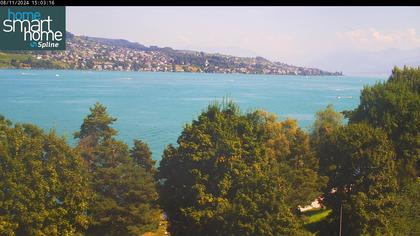 Thalwil › Ost: Seestrasse 93 - Spline AG - Home Smart Home - Zürichsee - Zürichsee