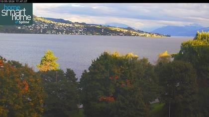 Thalwil › Ost: Seestrasse 93 - Spline AG - Home Smart Home - Zürichsee - Zürichsee