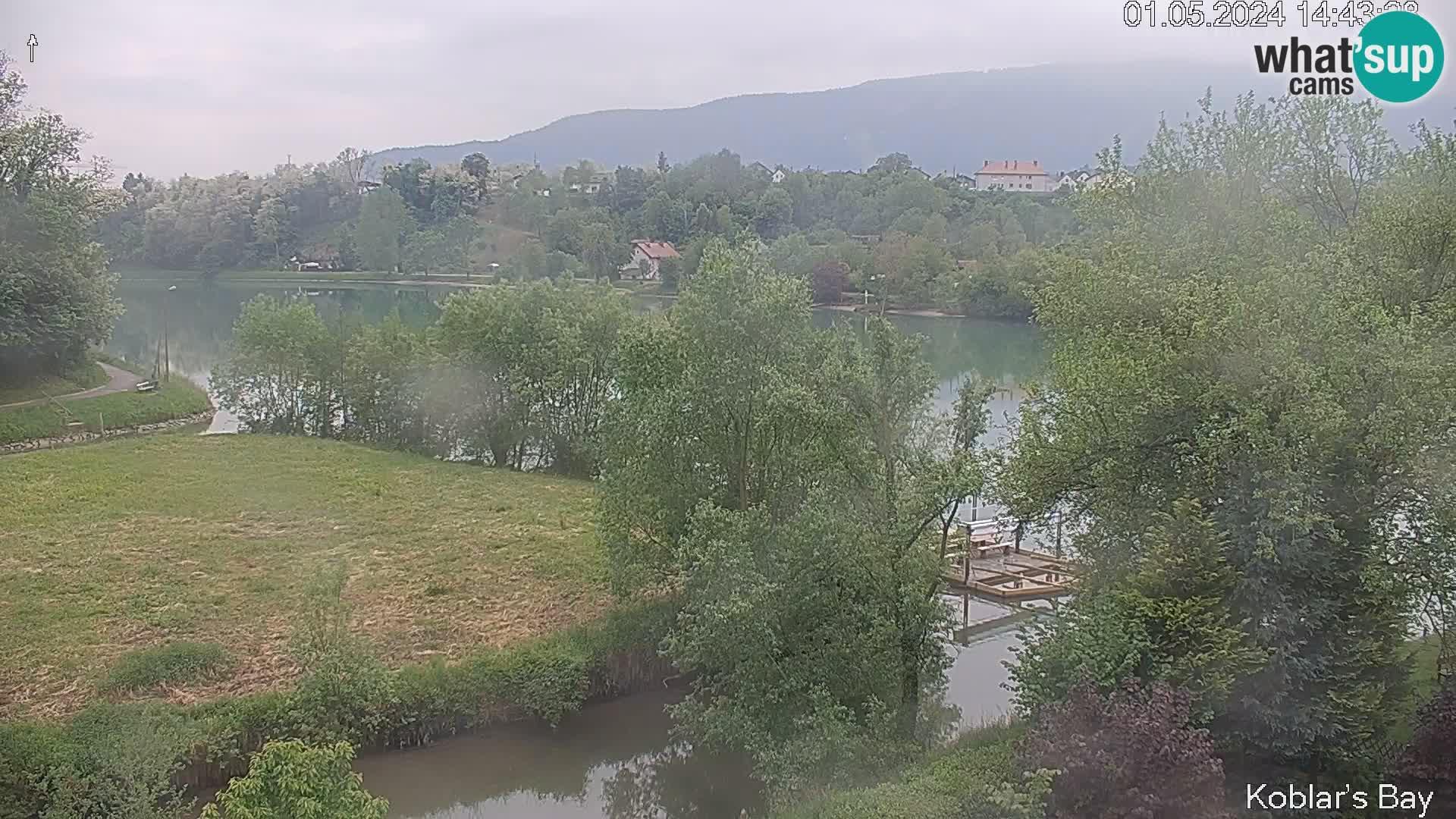 Slovenia webcam online