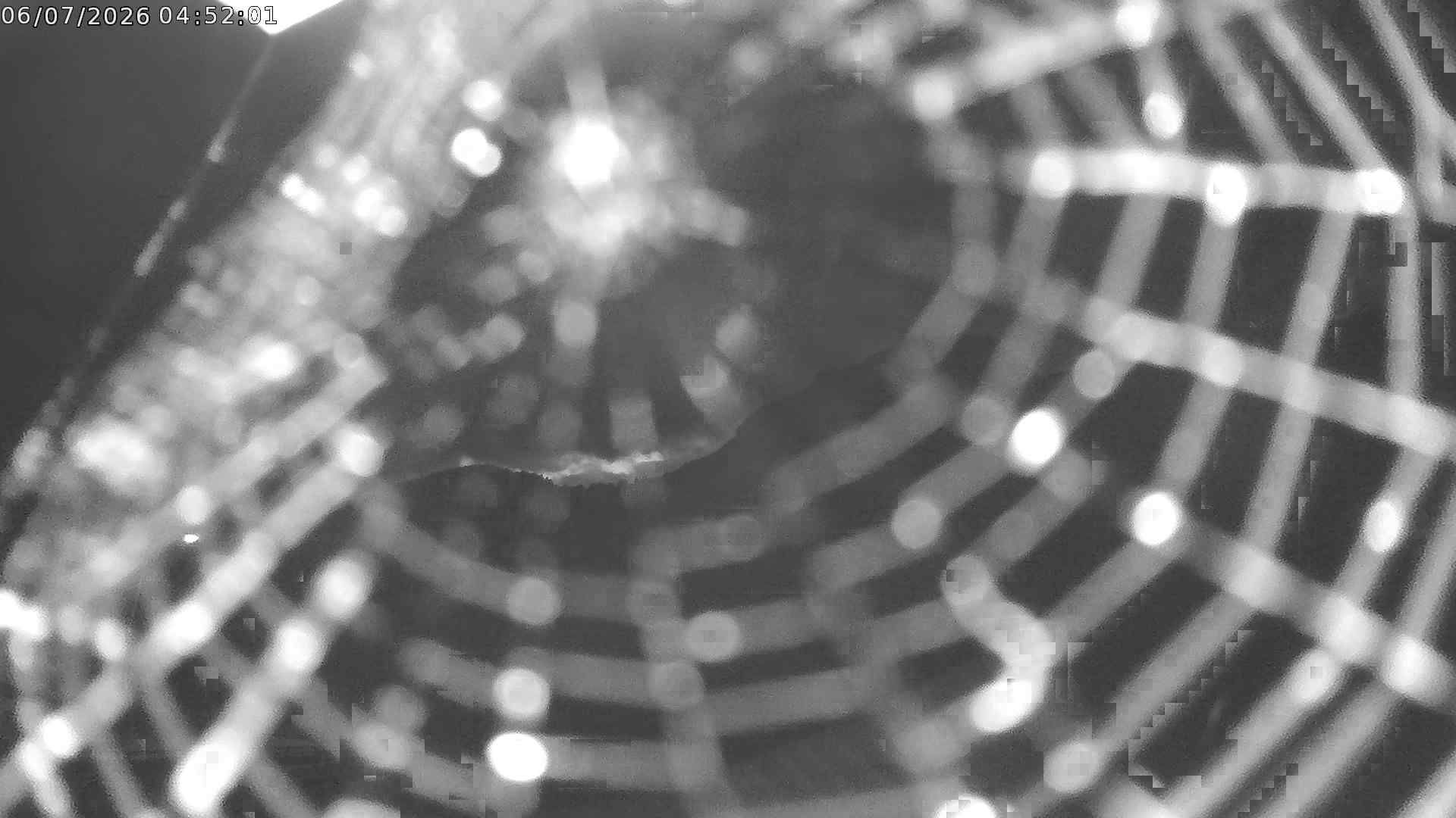 Puschlav: webcam