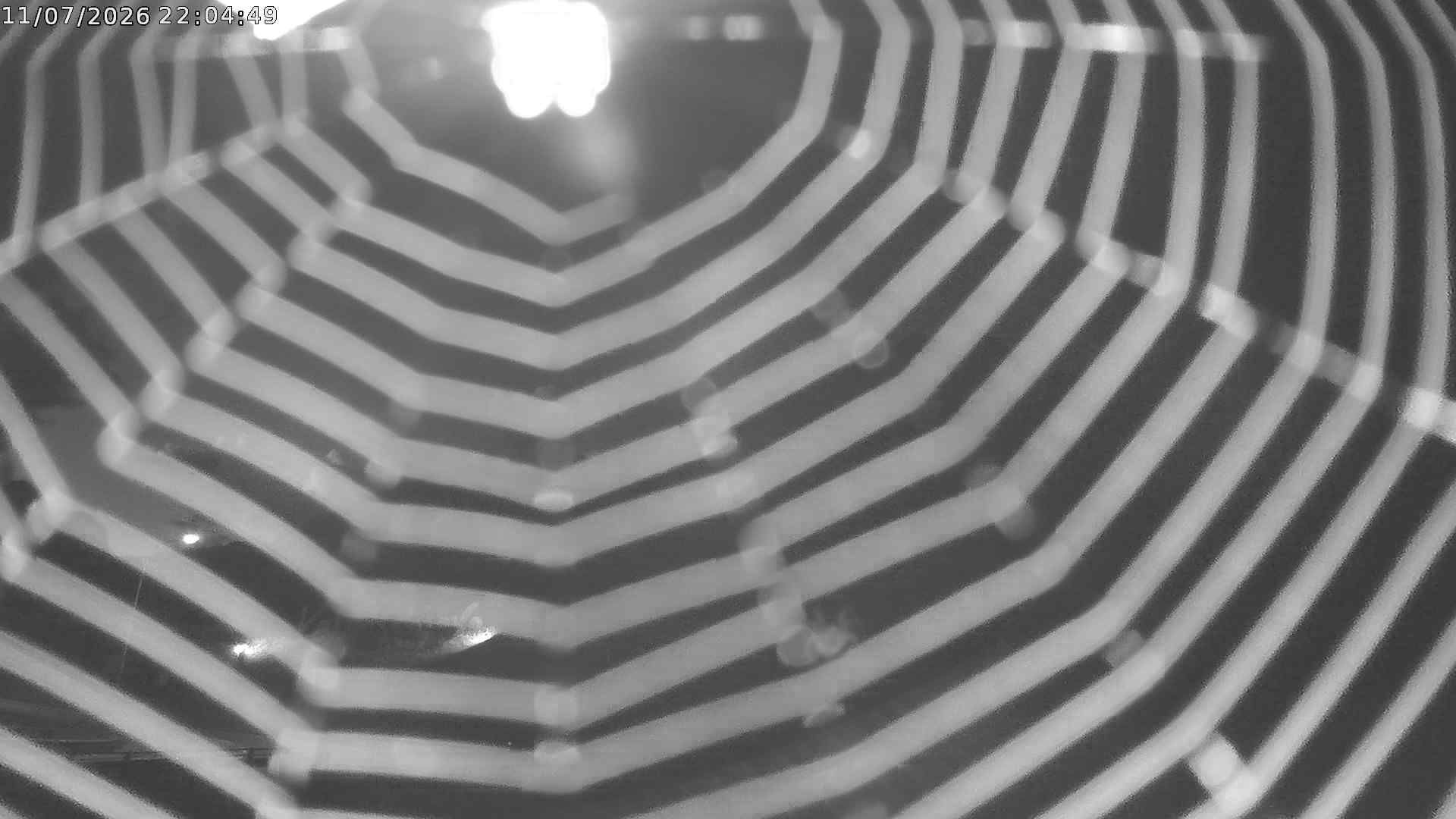 Puschlav: webcam