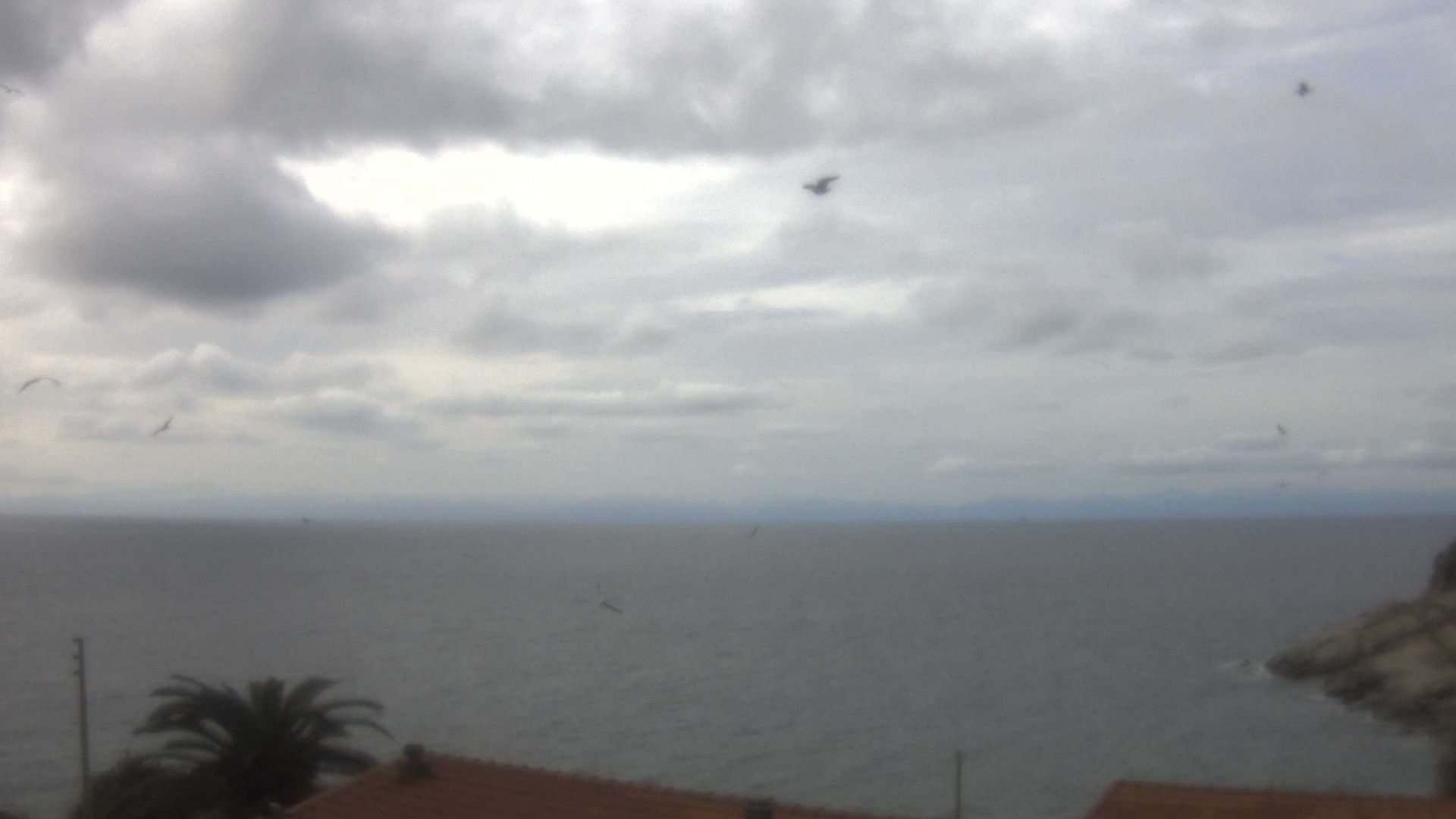 Traffic Cam Marciana