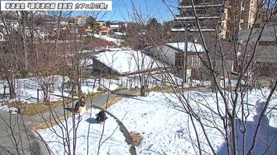 Gunma today
