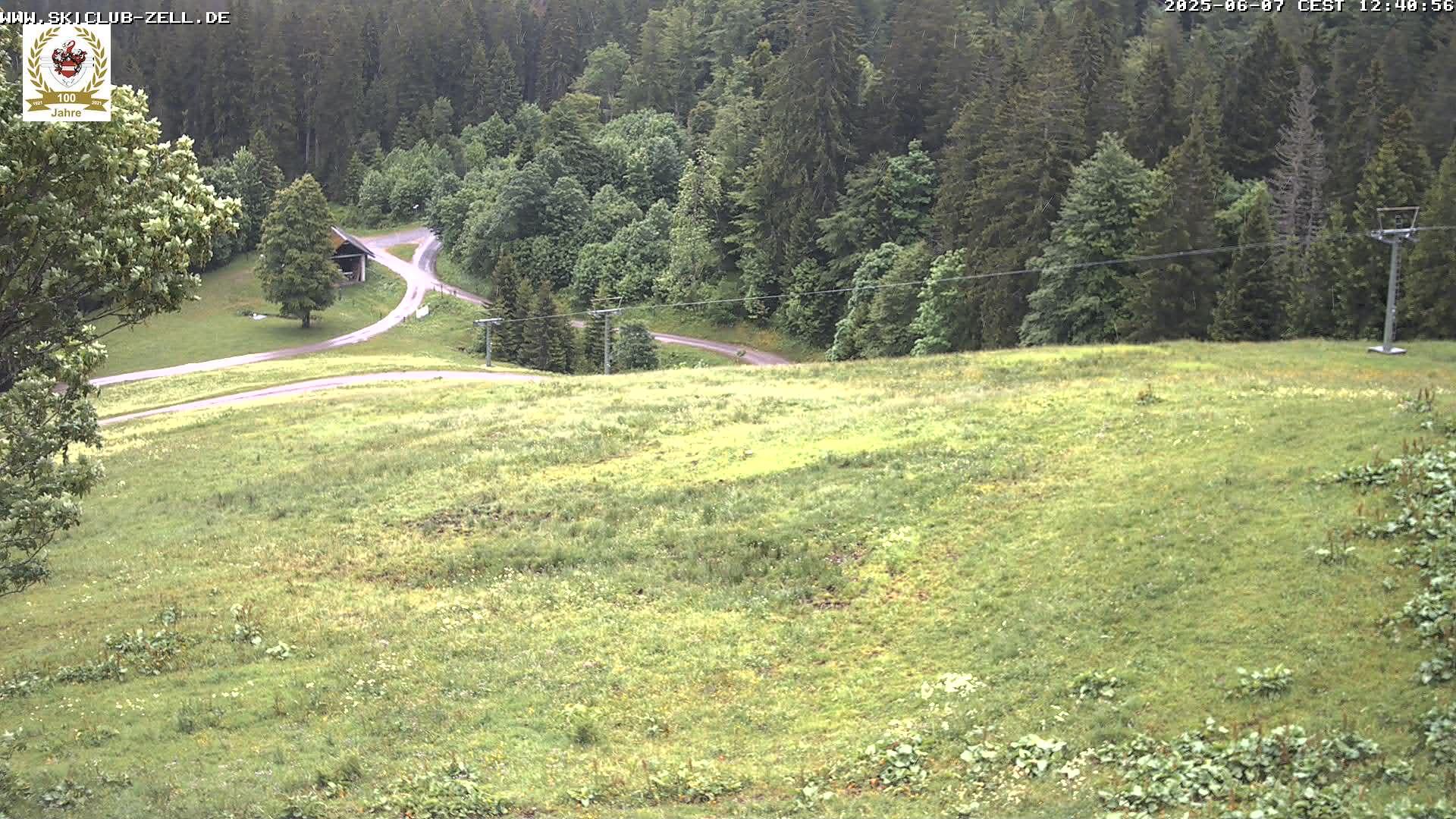 Feldberg Ort landscape Webcam