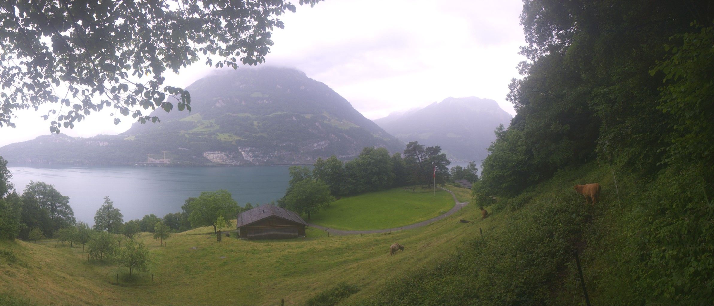 Seelisberg: Rütli