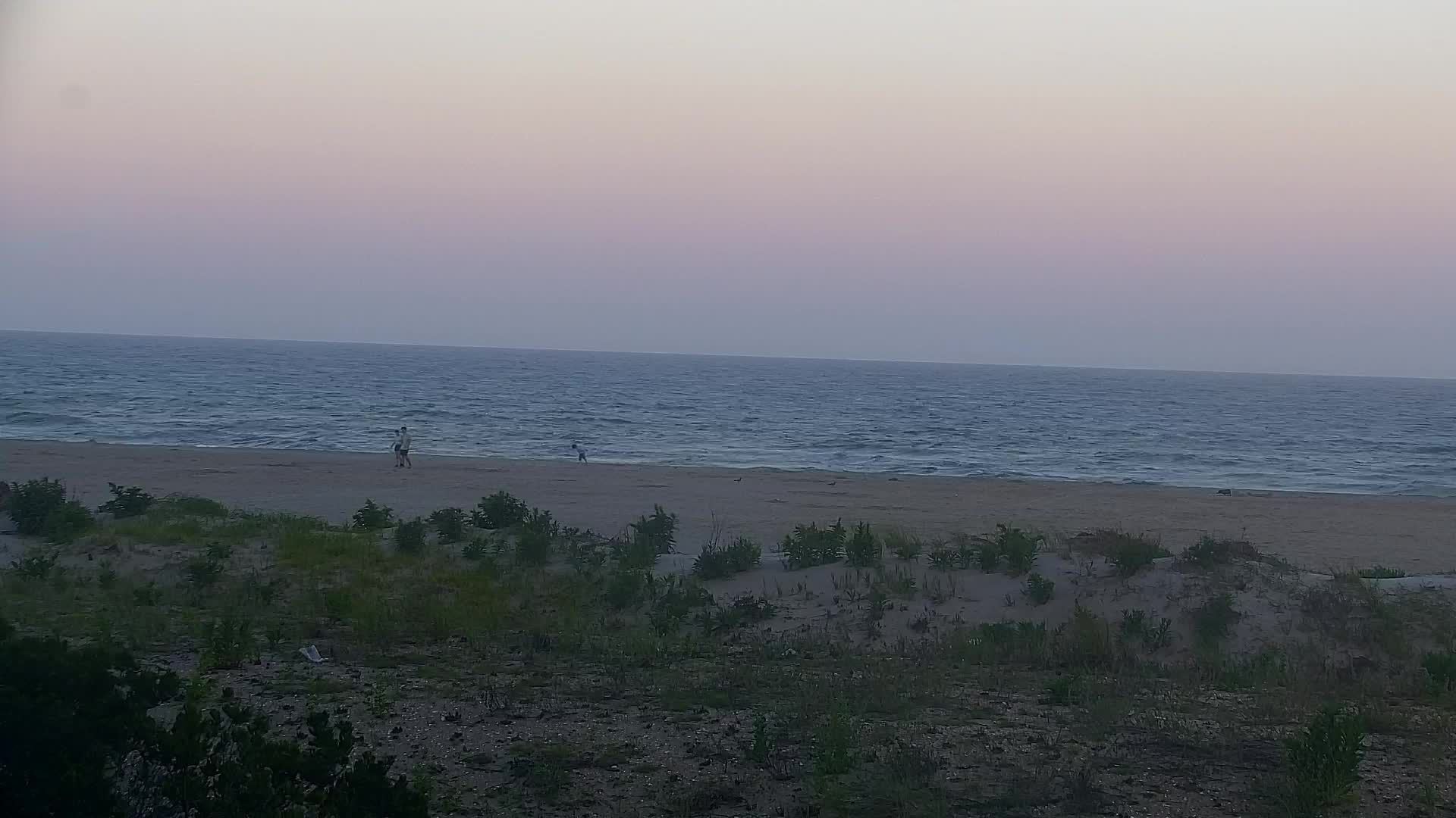 Wildwood during daytime