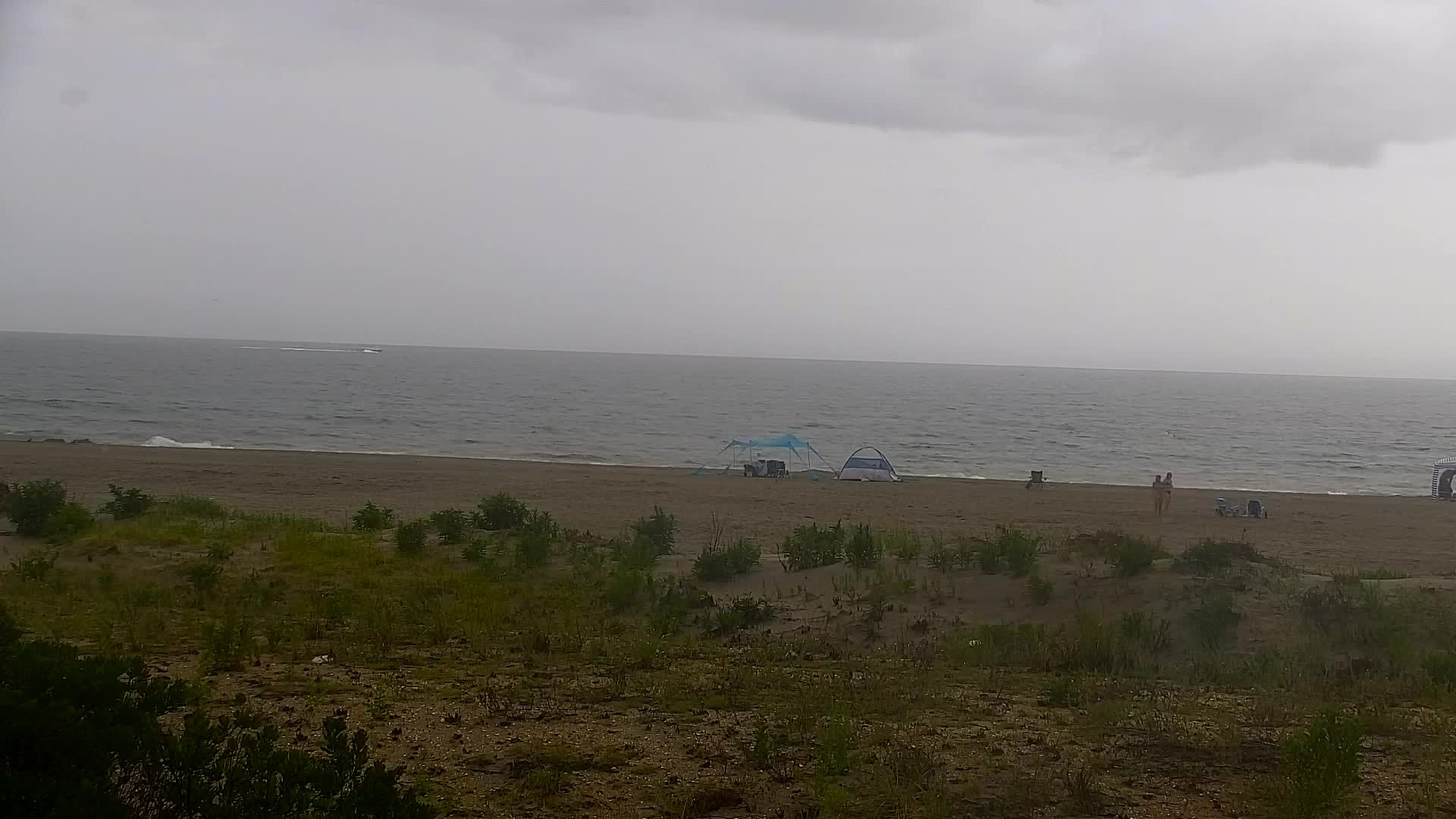 Wildwood webcam