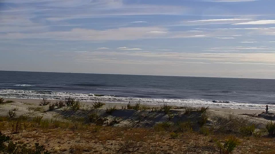Wildwood webcam