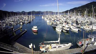 Recent Picton Webcam Image