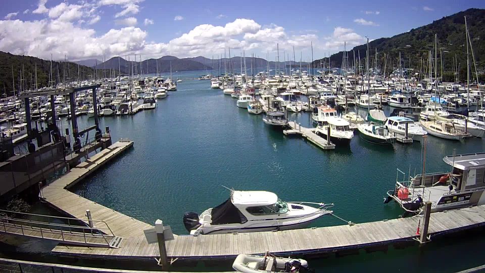 Blenheim webcam