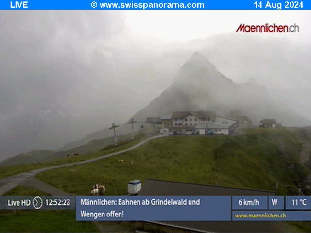 Grindelwald: Männlichen