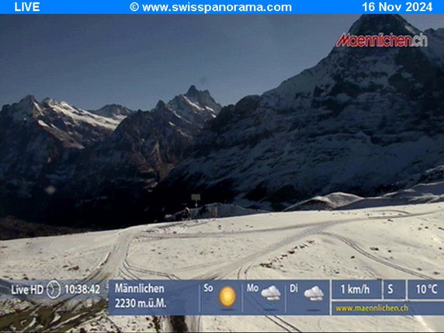 Grindelwald: Männlichen