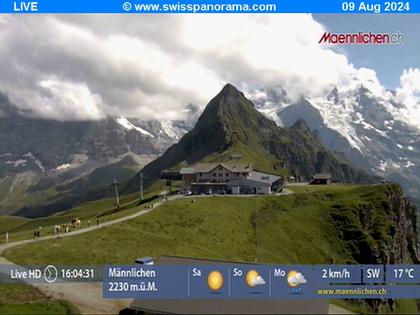 Grindelwald: Männlichen