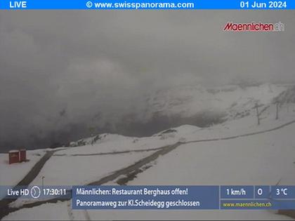 Grindelwald: Männlichen