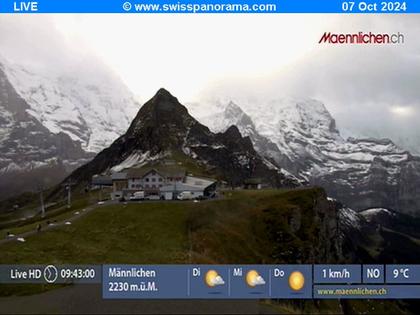 Grindelwald: Männlichen