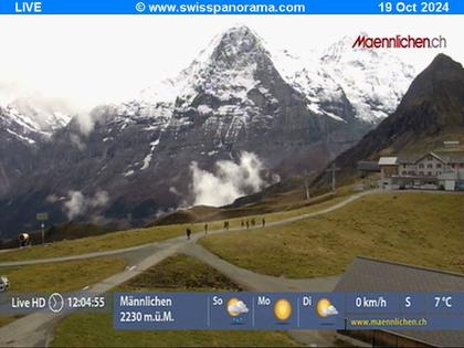 Grindelwald: Männlichen