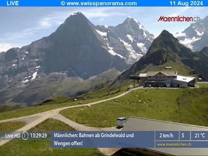 Grindelwald: Männlichen