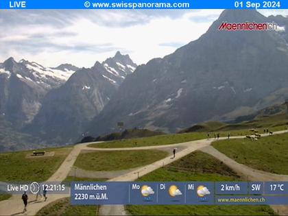 Grindelwald: Männlichen