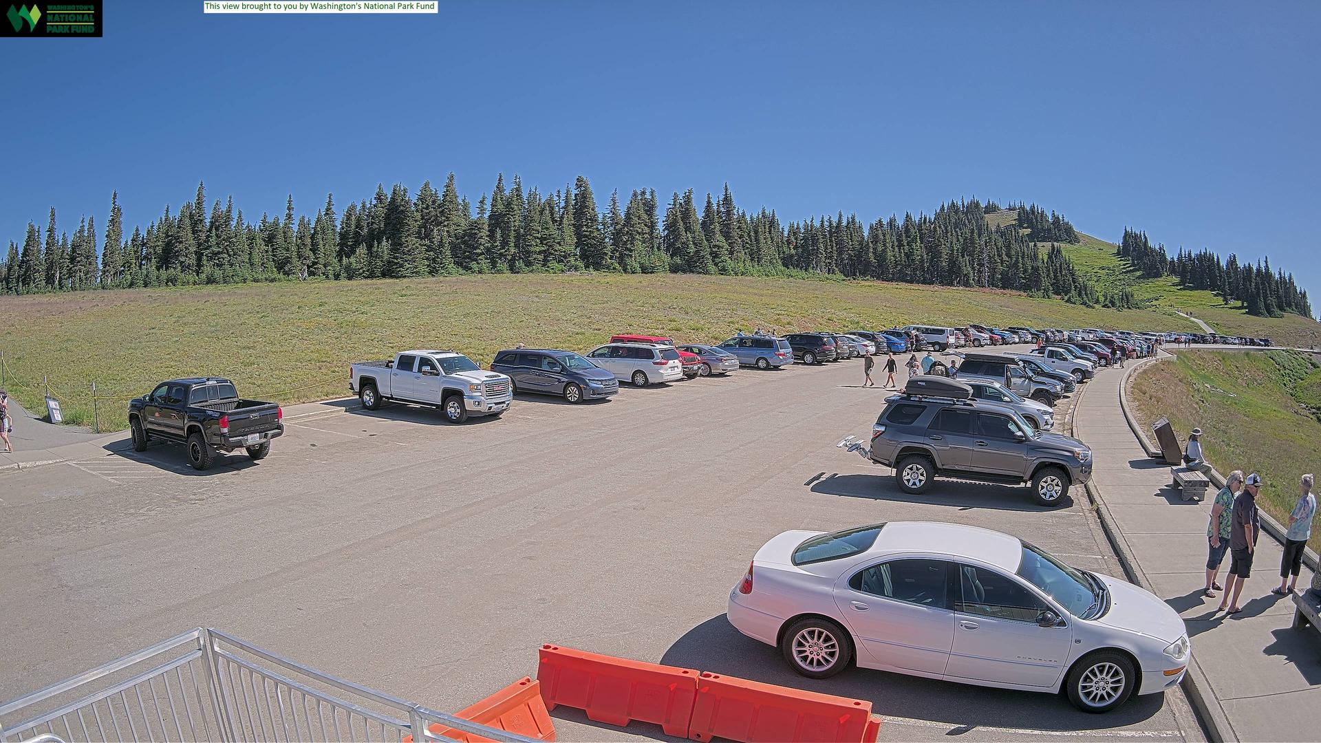 Hurricane Ridge