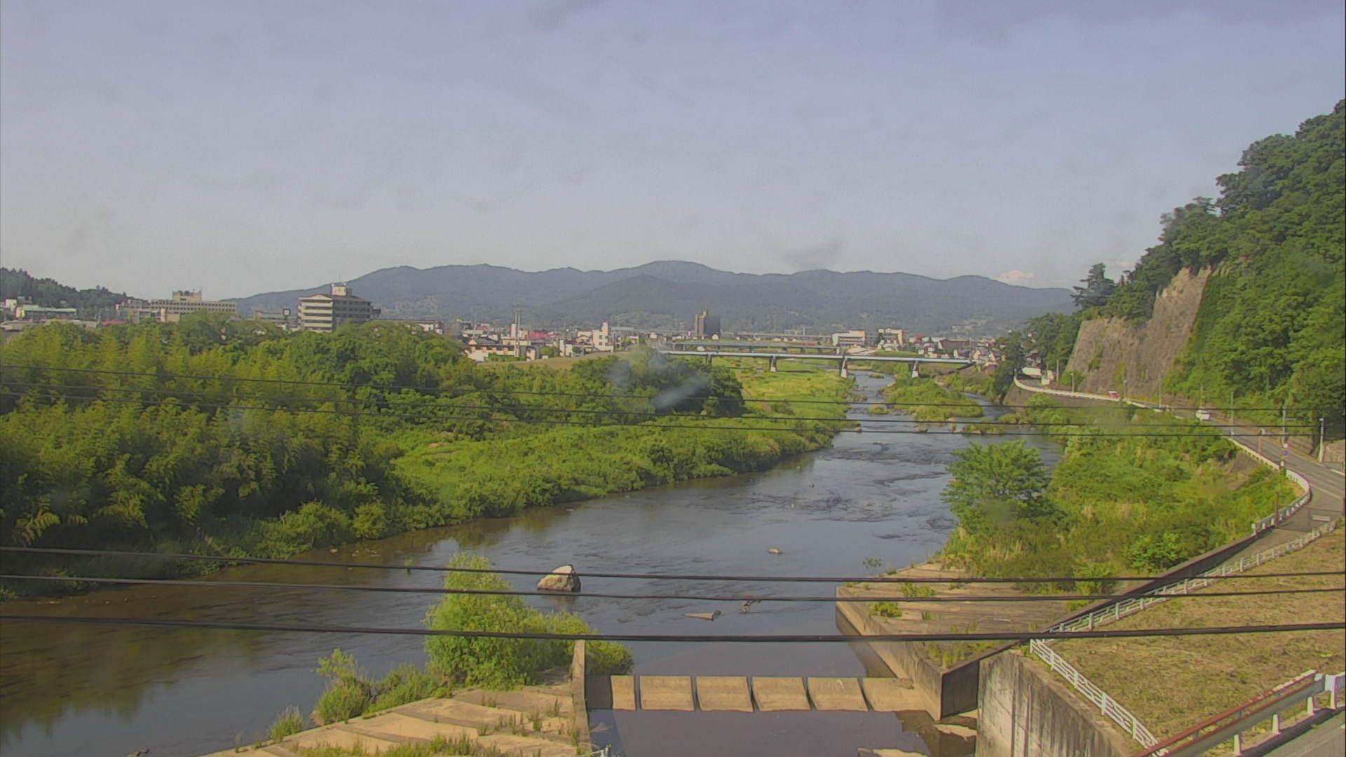 Ichinoskei: Natures Beauty on Webcam