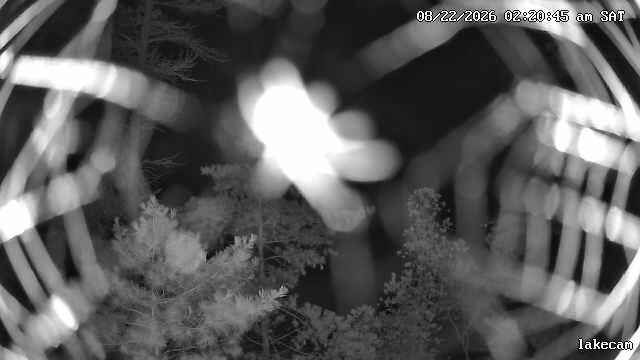 Traffic Cam The Archipelago Township › North