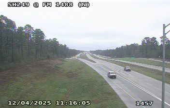 Magnolia Daytime Webcam Image