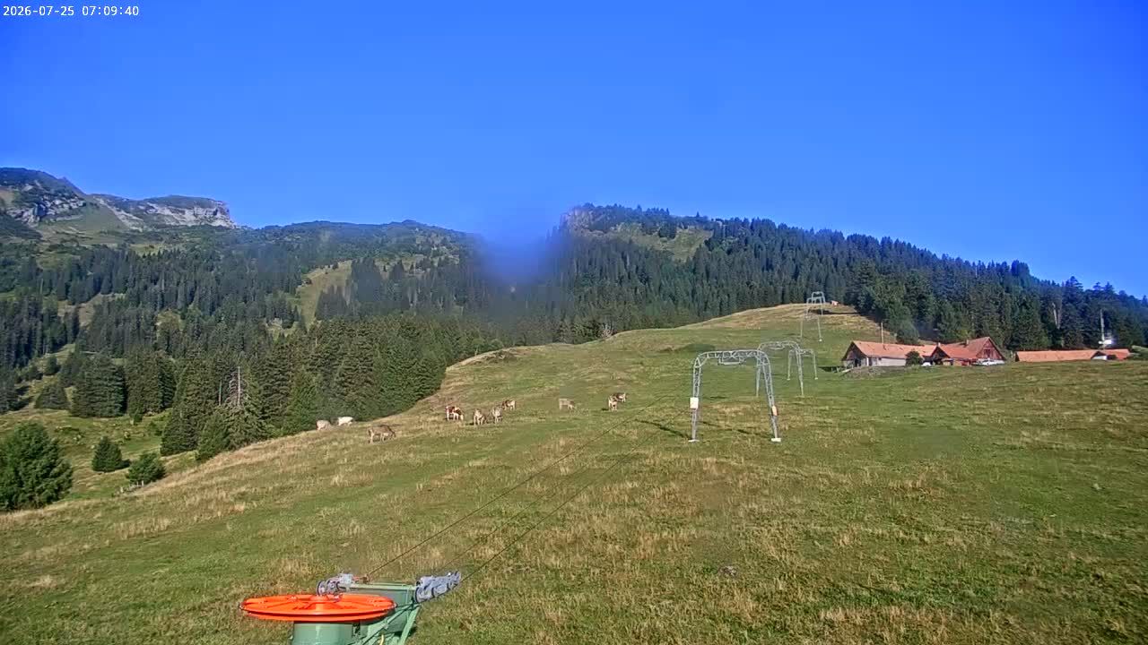 Buchs