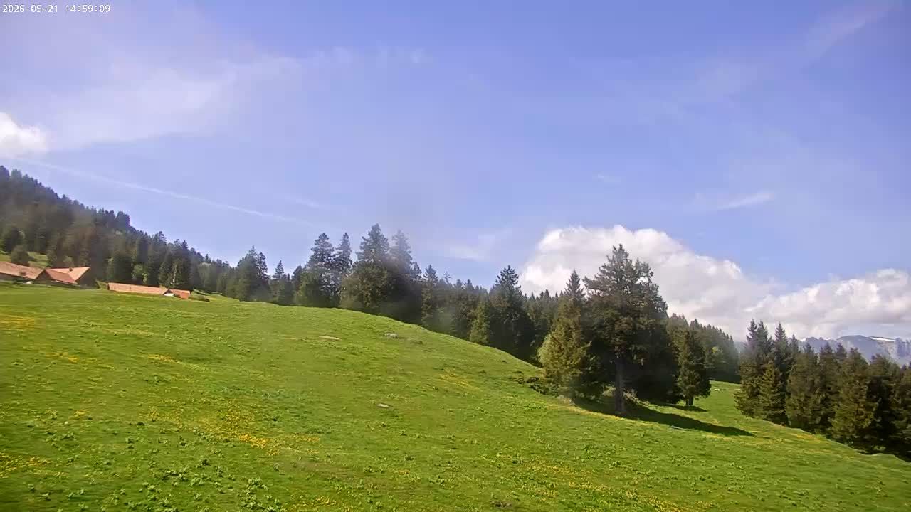 Buchs