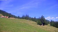 Buchs