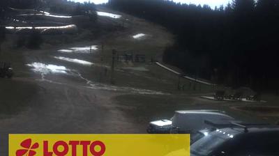 Oberhof forest webcam