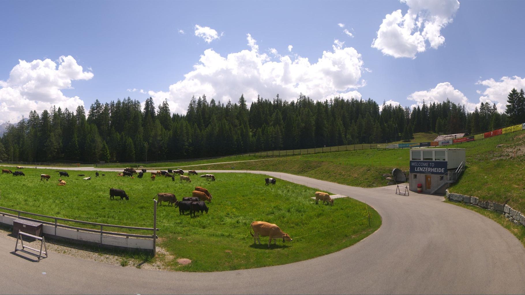 Lantsch Lenz mountain Webcam