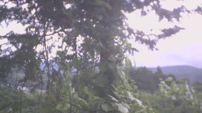 Atami Scenic Landscape: Weather