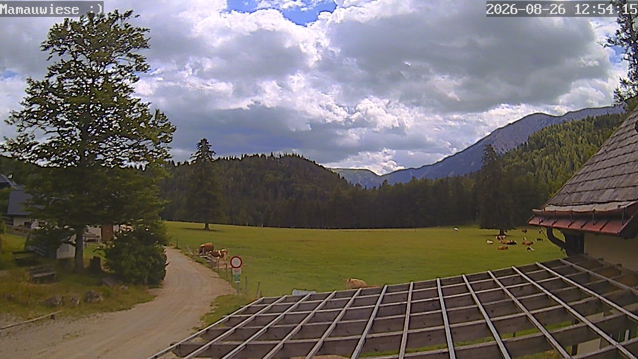 Traffic Cam Gemeinde Puchberg am Schneeberg: Berggasthof Mamauwiese