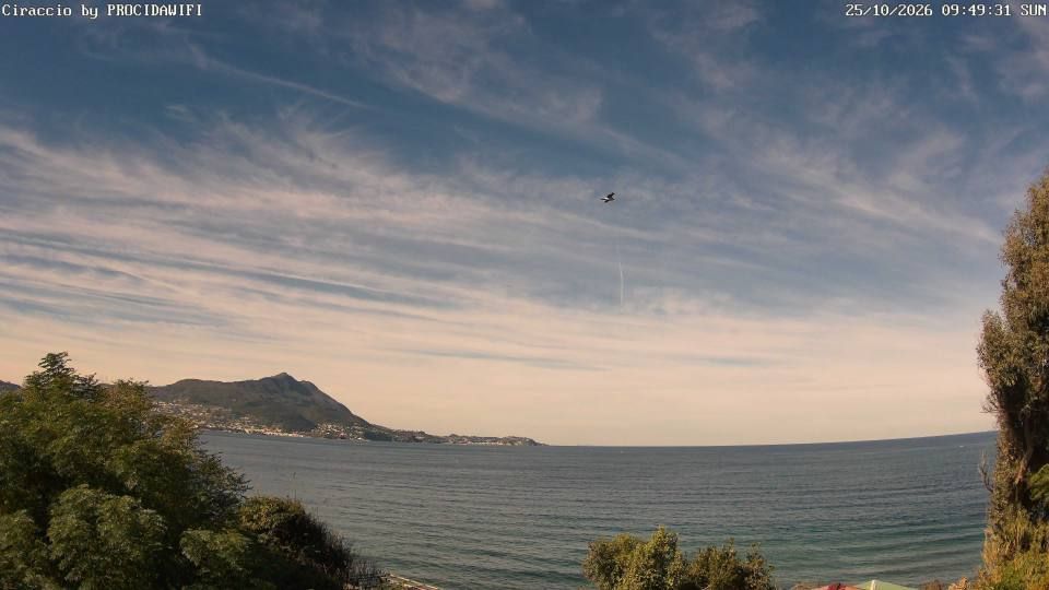 Procida webcam